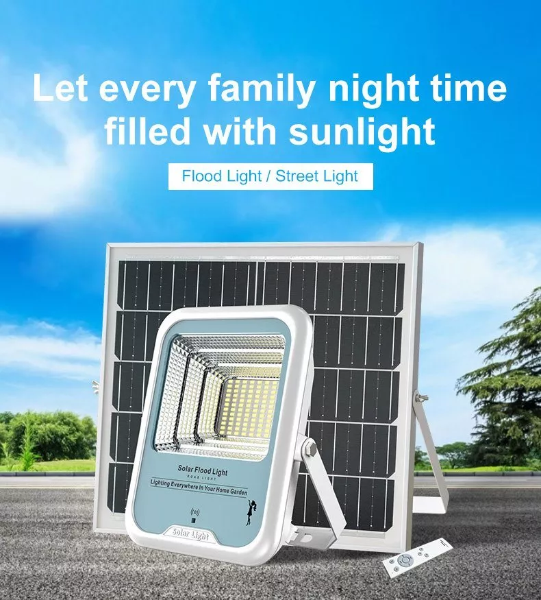 family time spx floodlight