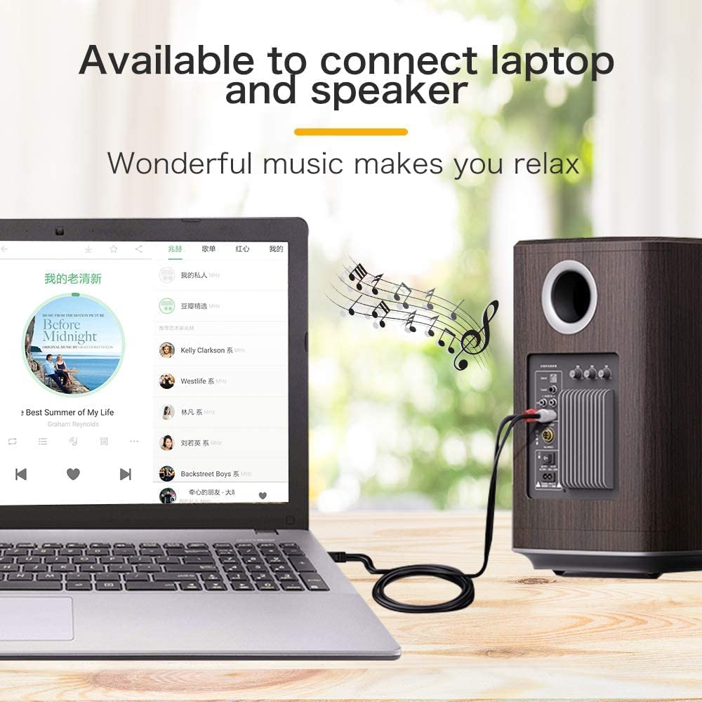 rca available to connect speaker and laptop